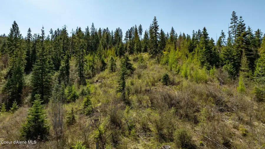 11817 W Garrett Ct, Post Falls, ID 83854 - Image #3