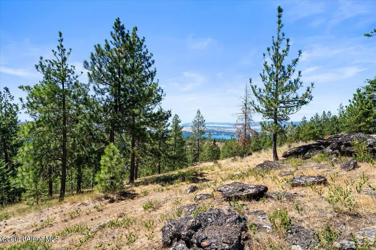 NKA - 20 Acres Hyatt Hills, Post Falls, ID 83854 - Image #1