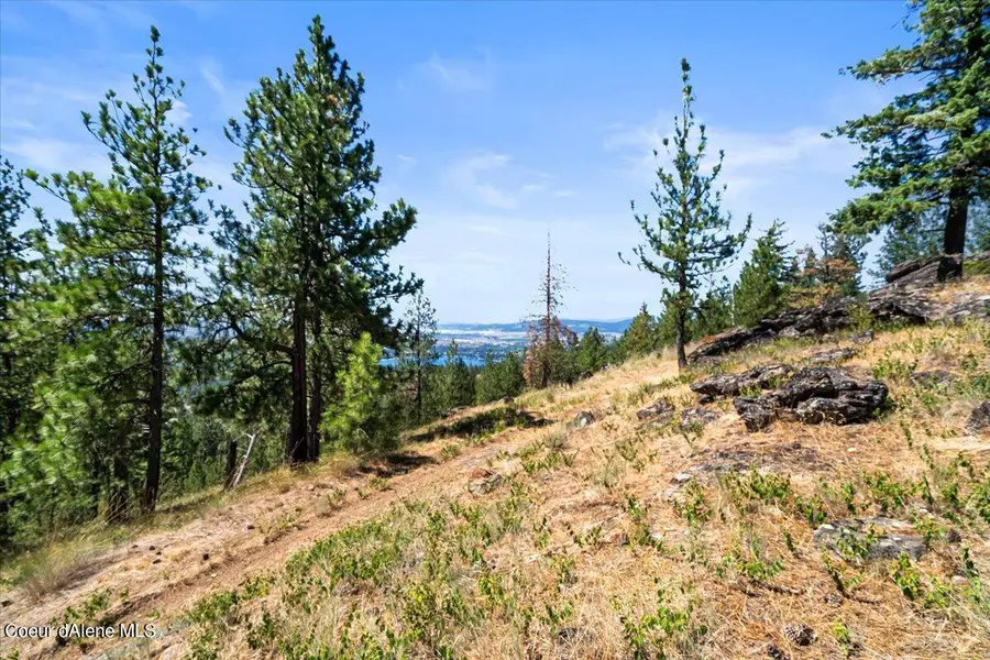 NKA - 20 Acres Hyatt Hills, Post Falls, ID 83854 - Image #2