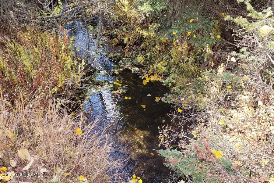 114a Packer Creek Rd, West End, MT 59842 - Image #2