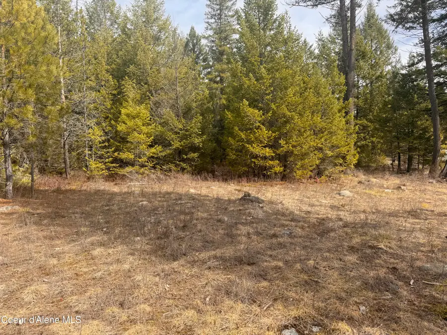 NKA E Lowland Drive, Athol, ID 83801 - Image #2