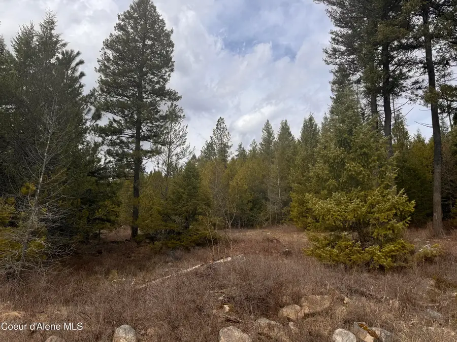 NKA E Lowland Drive, Athol, ID 83801 - Image #3