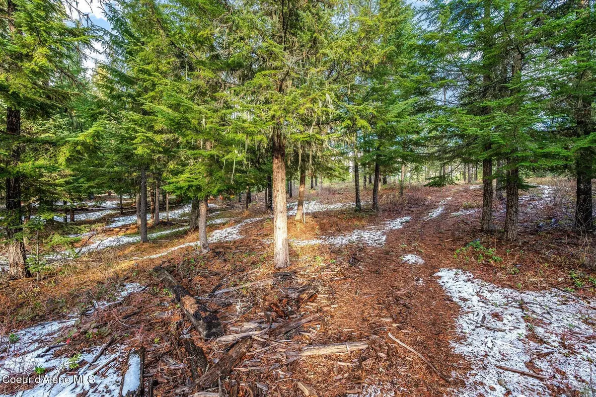 Lot 1 10.01 Acre Reeder Bay Road, Nordman, ID 83848 - Image #1