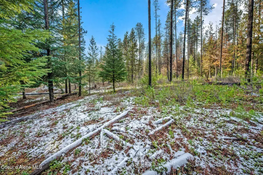 Lot 1 10.01 Acre Reeder Bay Road, Nordman, ID 83848 - Image #2