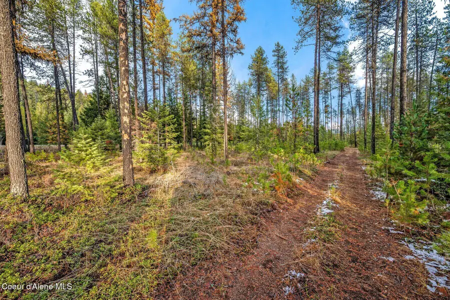 Lot 1 10.01 Acre Reeder Bay Road, Nordman, ID 83848 - Image #3