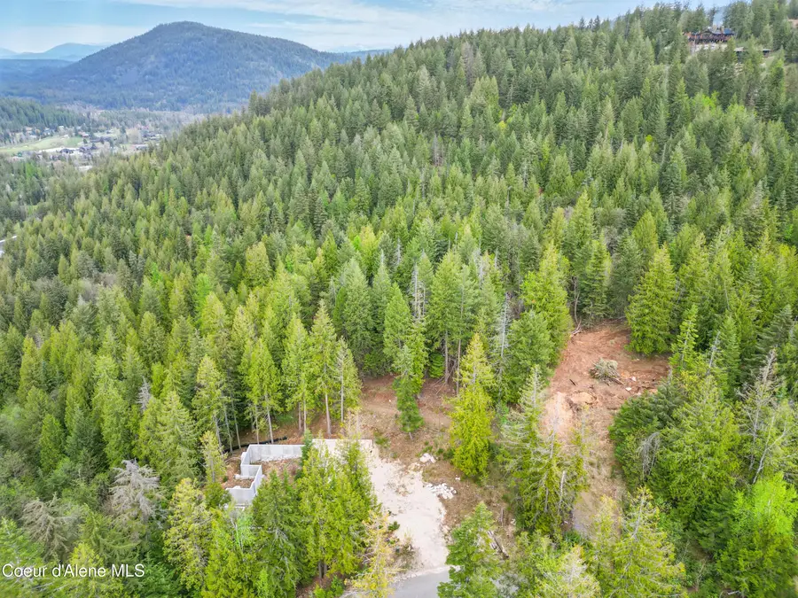 215 White Cloud Dr, Sandpoint, ID 83864 - Image #3