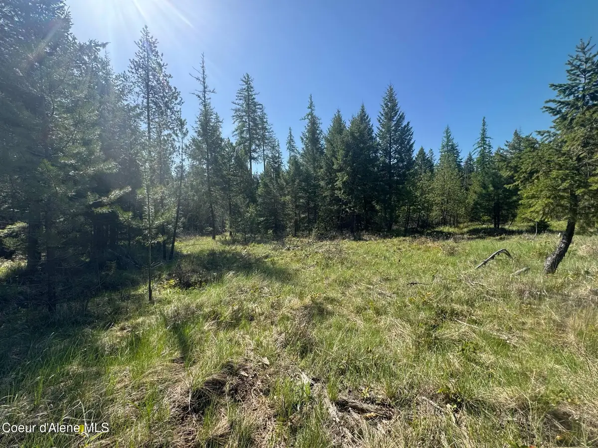 NKA Backroads Way Lot 2, Priest River, ID 83856 - Image #1