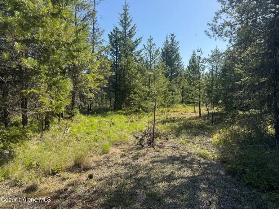 NKA Backroads Way Lot 2, Priest River, ID 83856 - Image #2