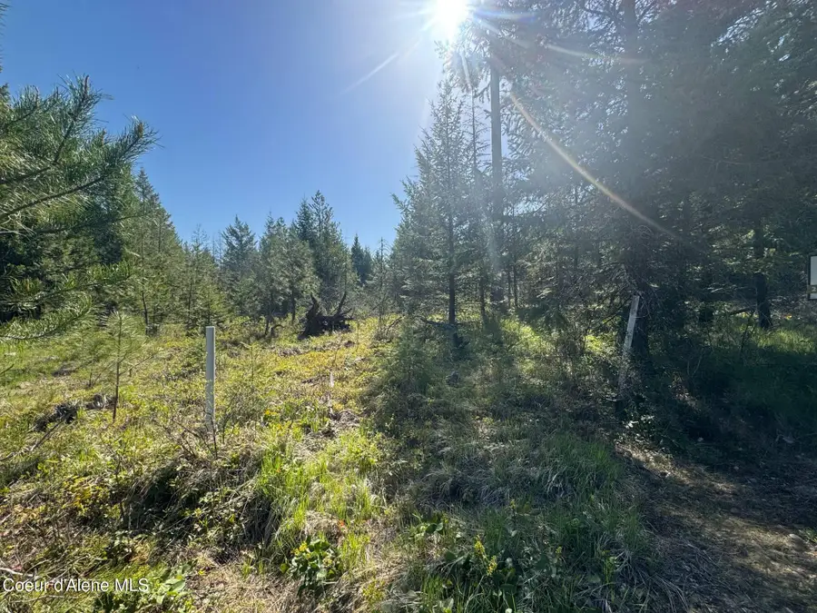 NKA Backroads Way Lot 2, Priest River, ID 83856 - Image #3