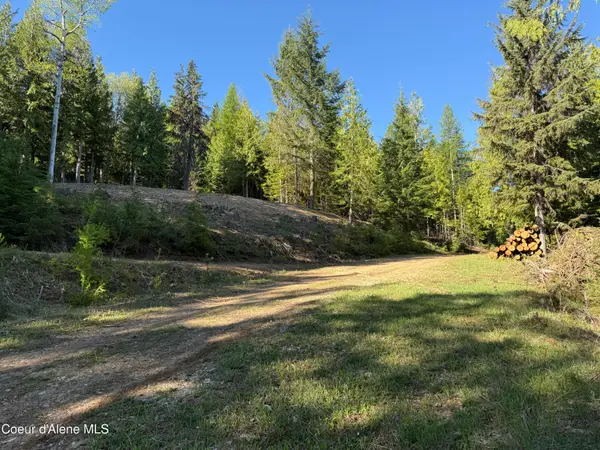 Lot 3 Moose Mountain Lane, Kingston, ID 83839