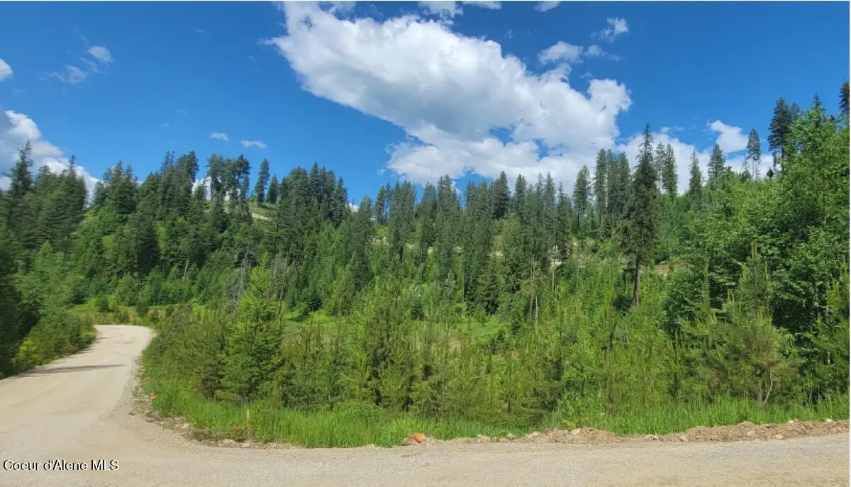 NNA Falcon Ridge Drive-#2, Naples, ID 83847 - Image #1