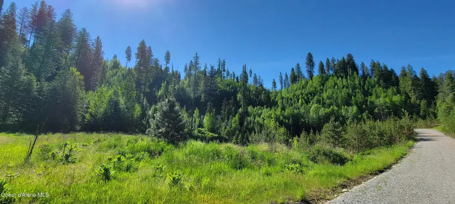 NNA Falcon Ridge Drive-#2, Naples, ID 83847 - Image #3