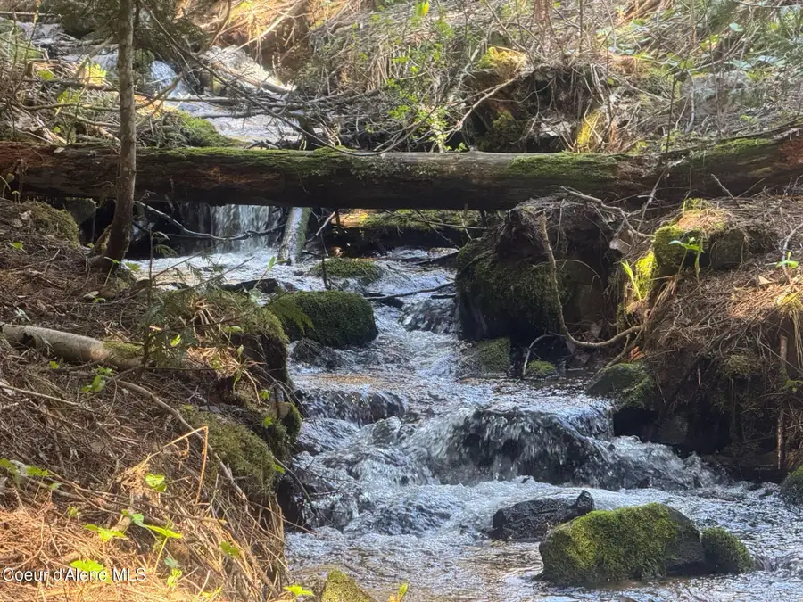 NNA Upper Manley Creek Rd 20 Acres, Laclede, ID 83841 - Image #2