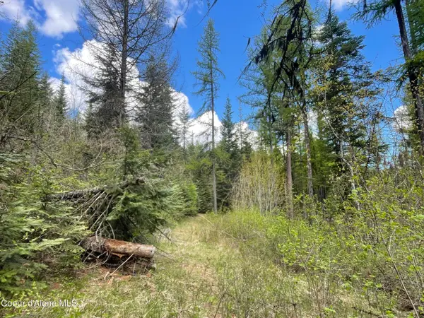 NKA Old Railroad Grade, Plummer, ID 83851