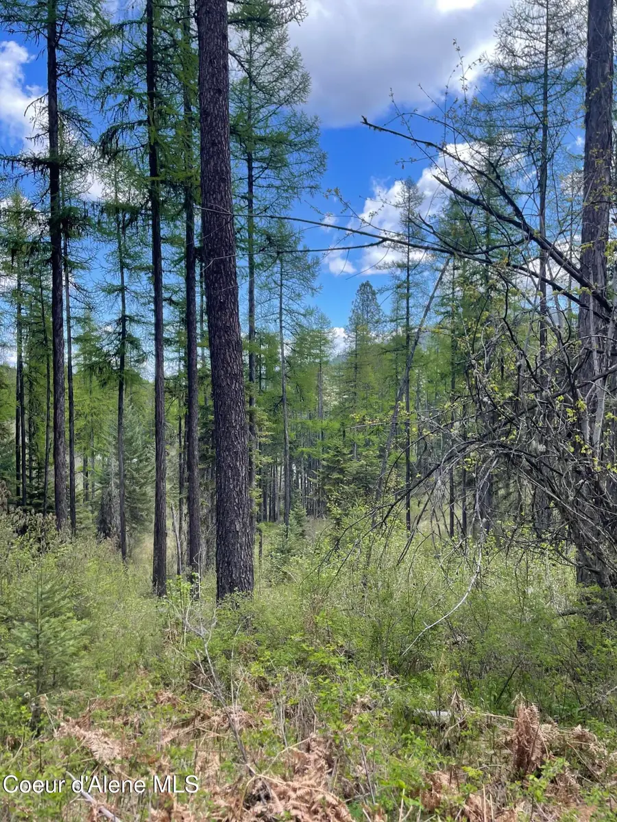 NKA Old Railroad Grade, Plummer, ID 83851 - Image #2