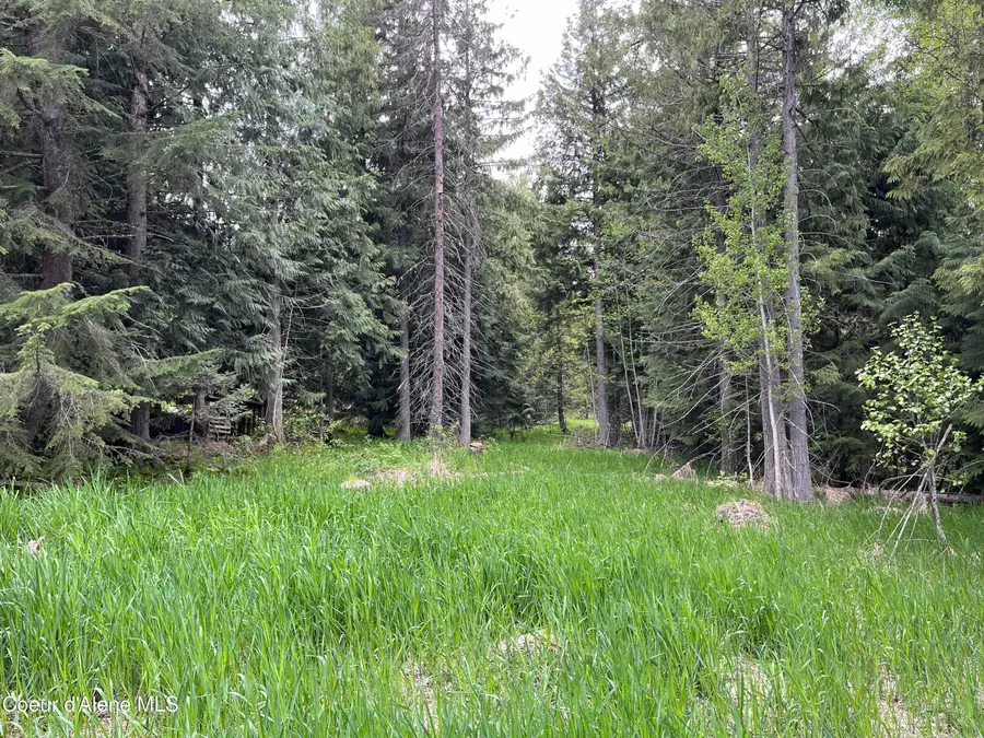 NNA High Meadow Drive, Priest River, ID 83856 - Image #2