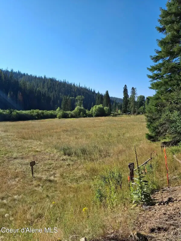 NKA Beaver Creek Road, Wallace, ID 83873