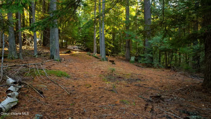 9816 Bottle Bay Rd, Sagle, ID 83860 - Image #2