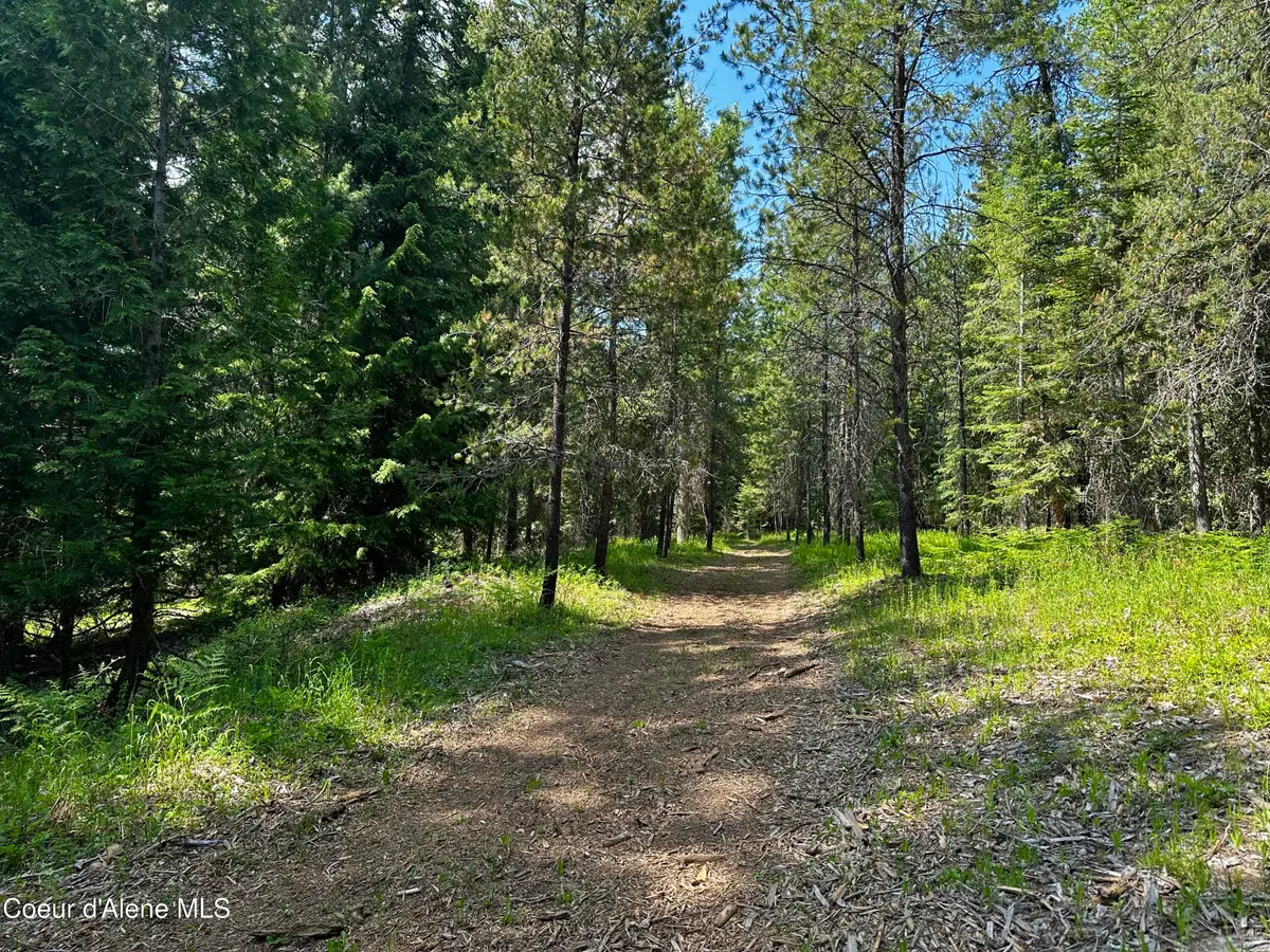 TBD Kreiger Creek Rd Lot 1, Careywood, ID 83809 - Image #1
