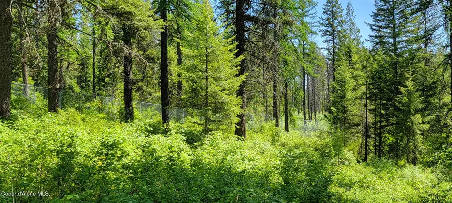 1015 Templeman Lake Rd, Bonners Ferry, ID 83805 - Image #2