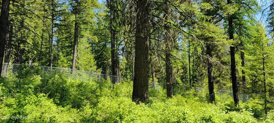 1015 Templeman Lake Rd, Bonners Ferry, ID 83805 - Image #3