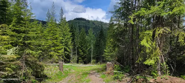 NNA Pup Paw Trail - South, Priest River, ID 83856