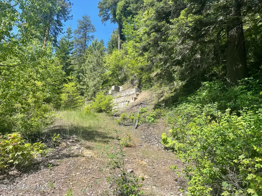 nna Talache Road, Sagle, ID 83860 - Image #3