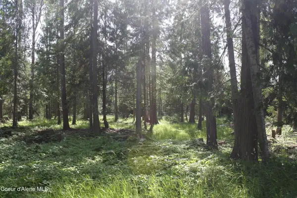 Lot 3 Riverlake Drive, Clark Fork, ID 83811