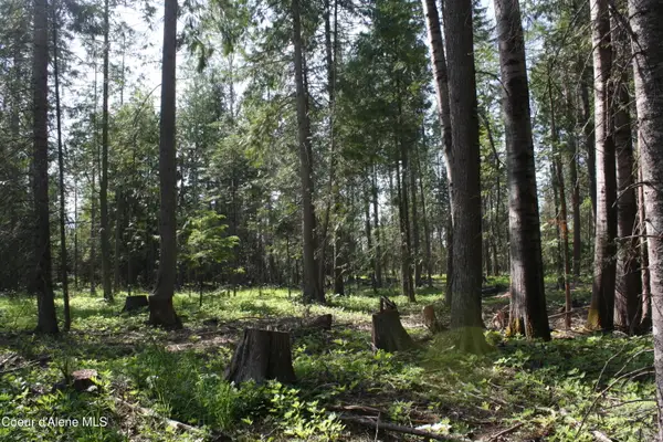 Lot 4 Riverlake Drive, Clark Fork, ID 83811