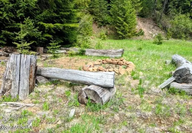 NKa Gold Ridge Road, Saint Maries, ID 83861 - Image #3