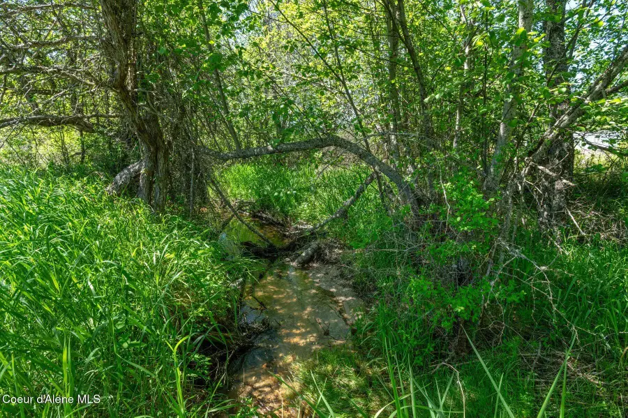 2902 Jewel Lake Road, Sagle, ID 83860 - Image #3