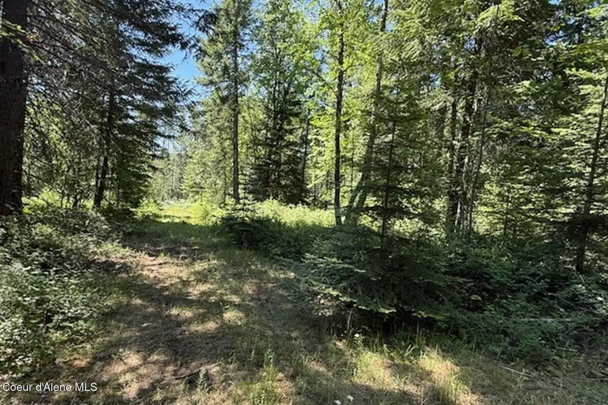 NNA Flamingo Rd, Sandpoint, ID 83864 - Image #1