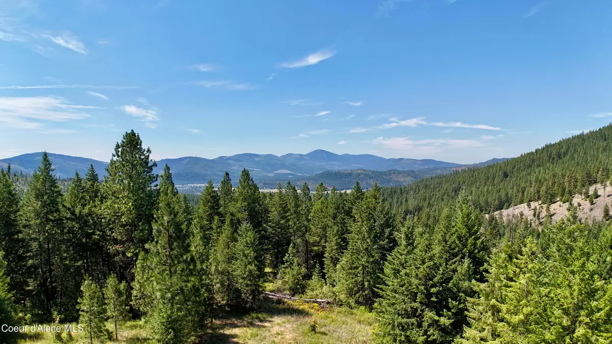 1710 Tower Mountain RD, Blanchard, ID 83804 - Image #1