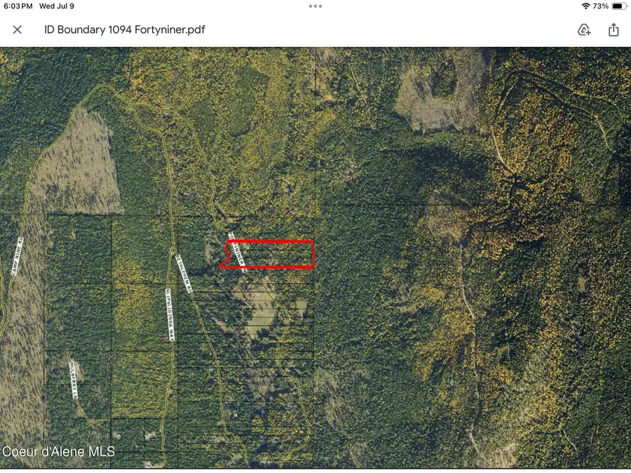 1094 Fortyniner LN, Bonners Ferry, ID 83805 - #2