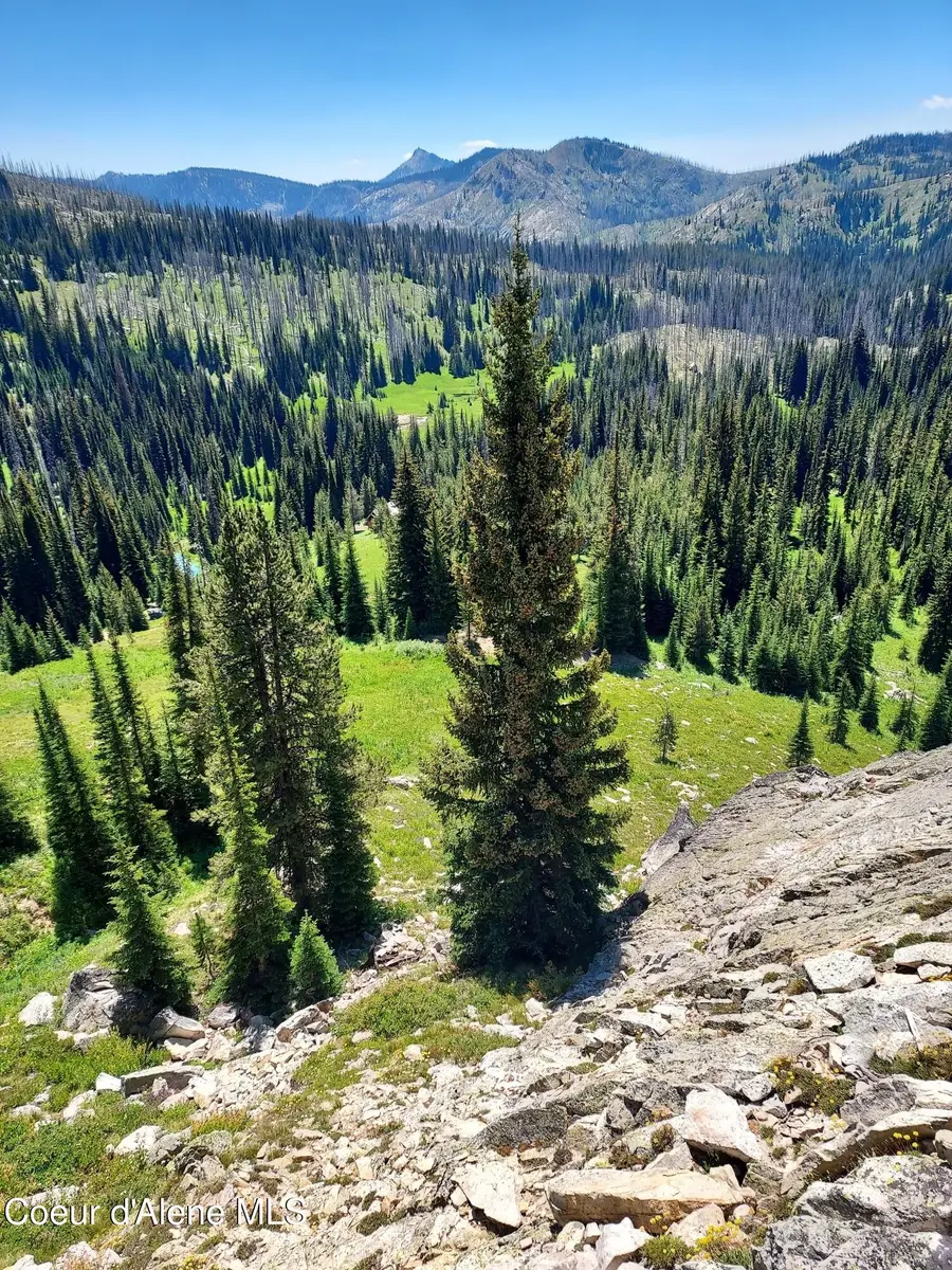 Crooked River Road, Orogrande, ID 83525 - Image #2