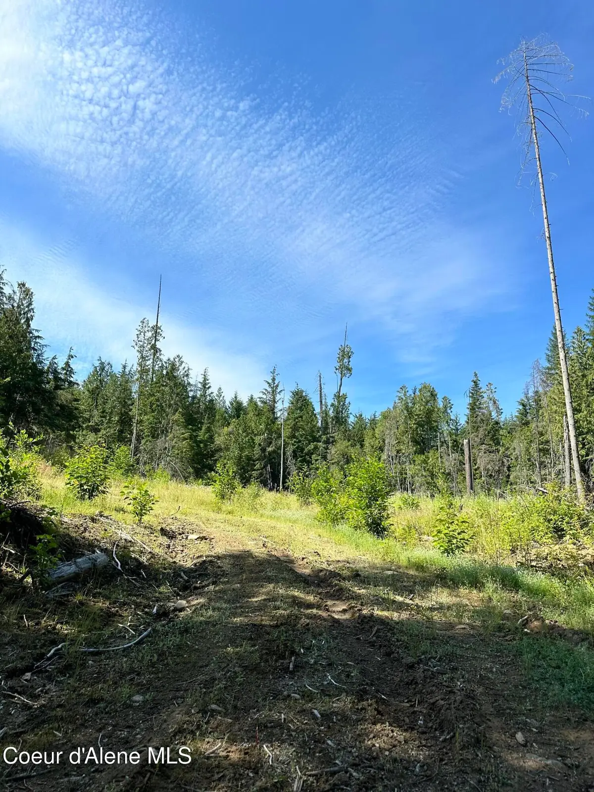 NKA Wellington Rd, Sandpoint, ID 83864 - Image #1