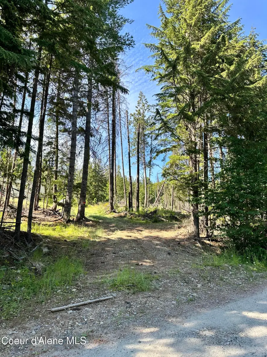 NKA Wellington Rd, Sandpoint, ID 83864 - Image #3