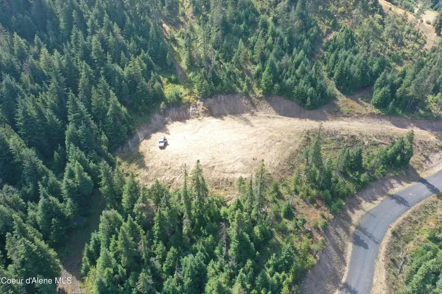 NKA Parcel 1 Patriot's Paradise, Fernwood, ID 83830 - Image #3