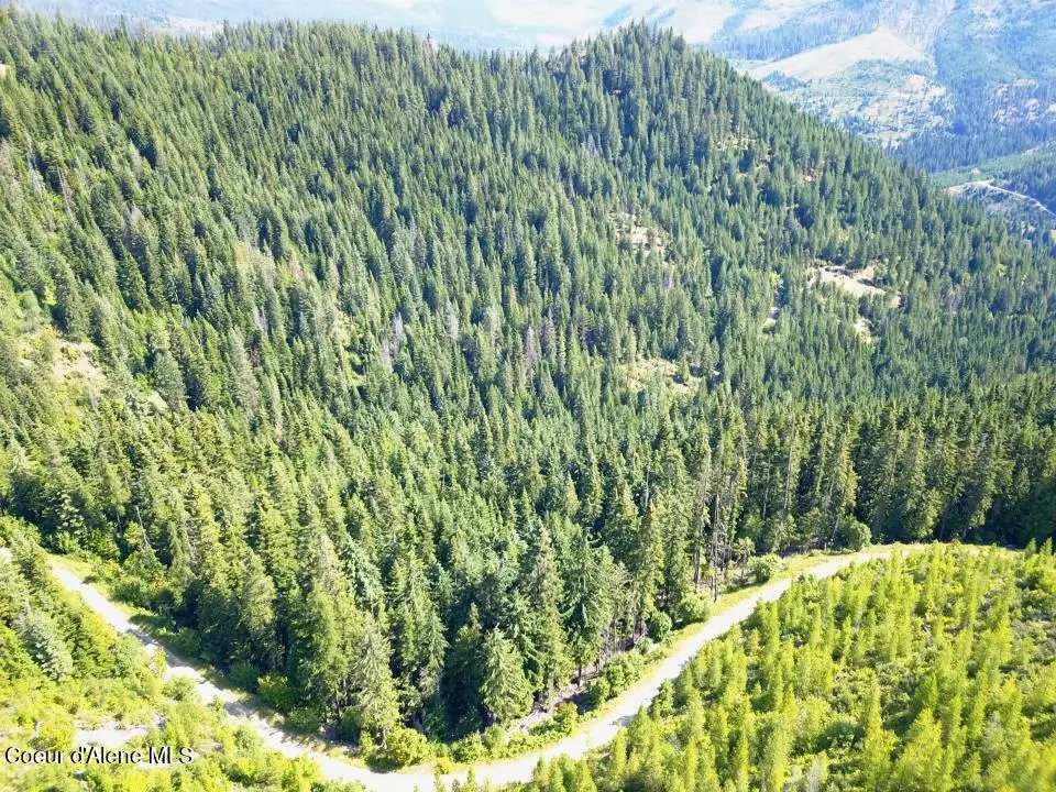 10ac S LATOUR CREEK RD, Cataldo, ID 83810 - Image #1