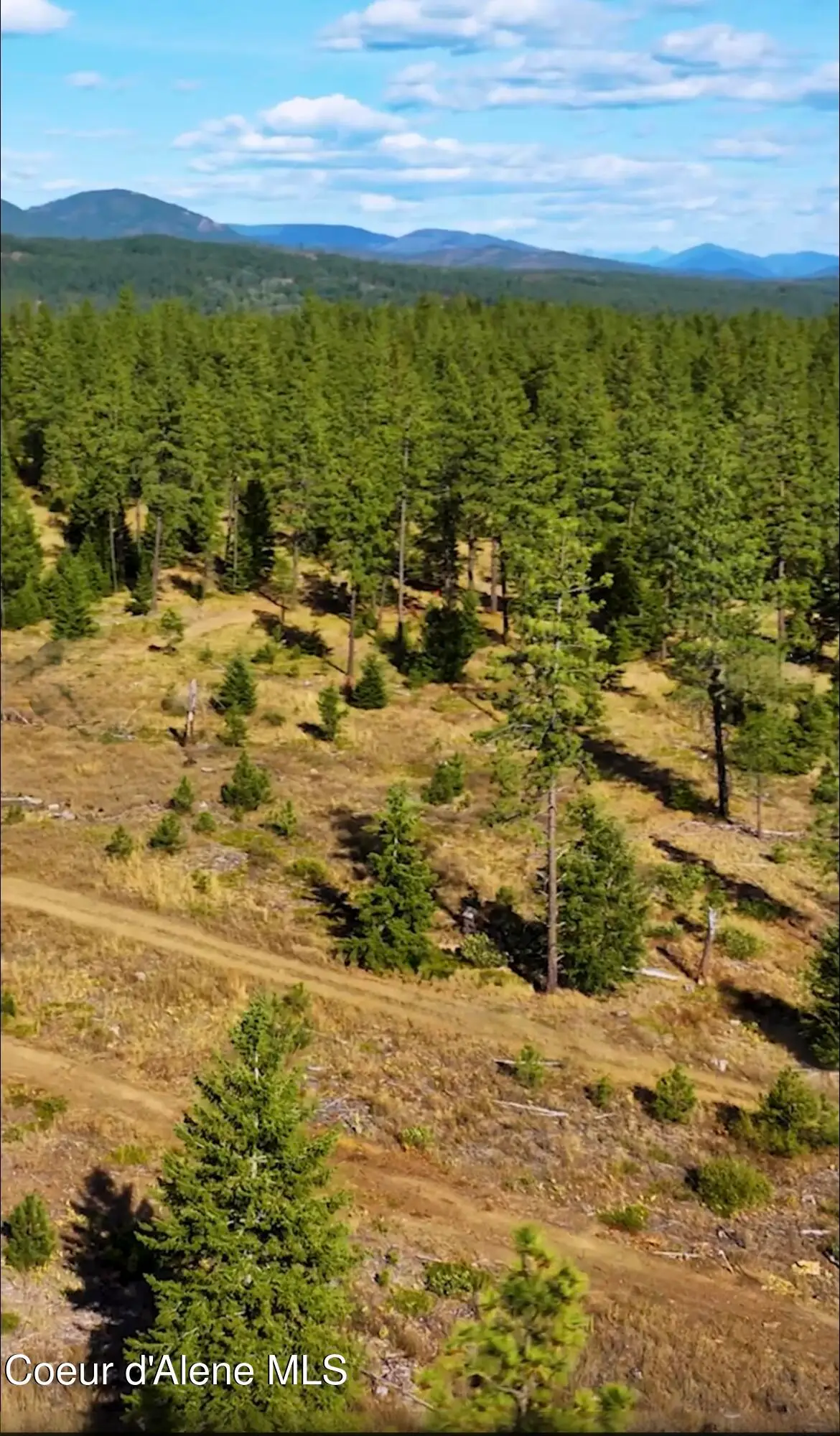 78 Wyatt Ln, Spirit Lake, ID 83869 - Image #1