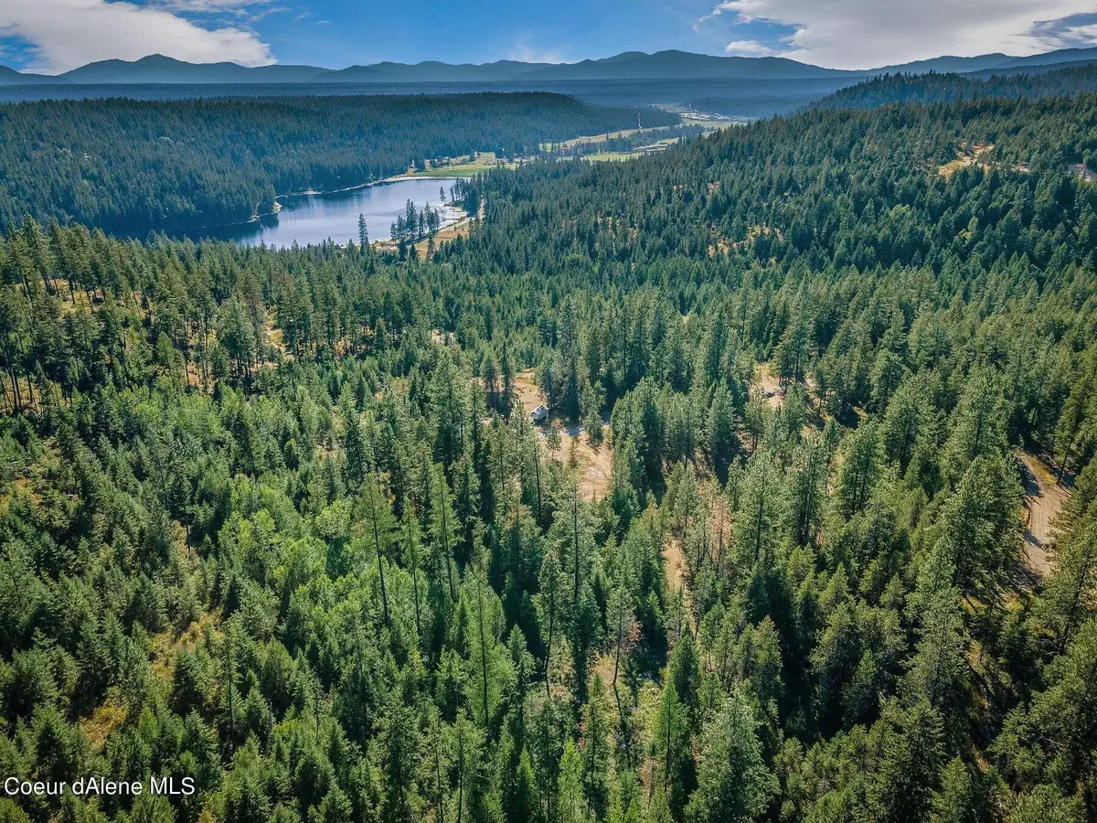 L3 Smokewood Dr, Athol, ID 83801 - Image #1