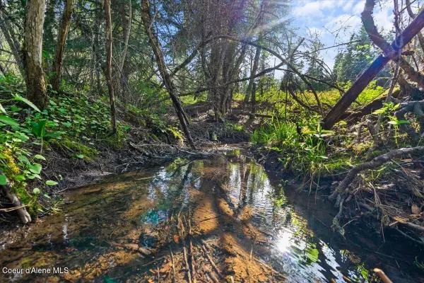 NKA Mutch Creek Road 8.3, St. Maries, ID 83861