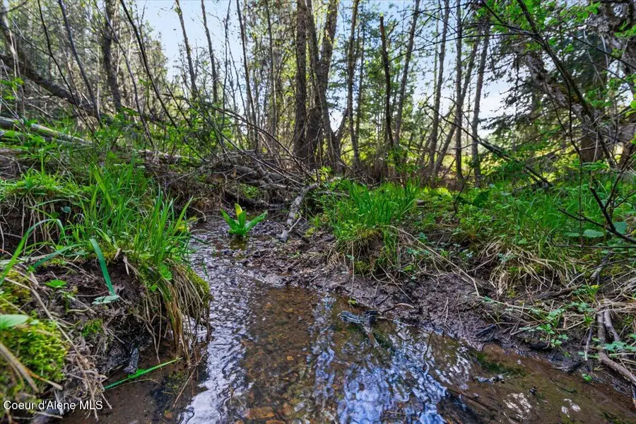 NKA Mutch Creek Road 8.3, Saint Maries, ID 83861 - Image #2