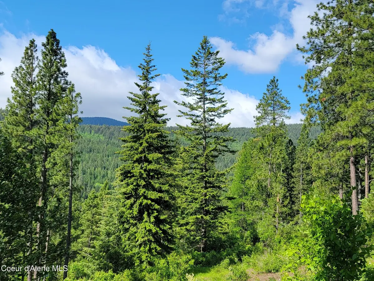 NNA Snowcat Lane Tract 2, Bonners Ferry, ID 83805 - Image #1