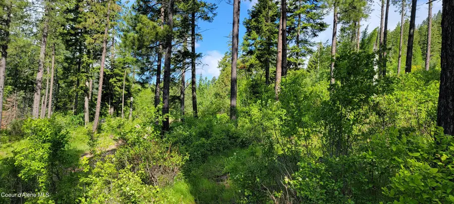 NNA Snowcat Lane Tract 2, Bonners Ferry, ID 83805 - Image #3