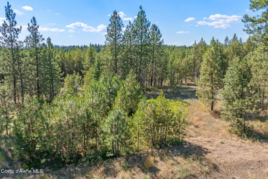 Lot 16 Asulkan St, Athol, ID 83801 - Image #2