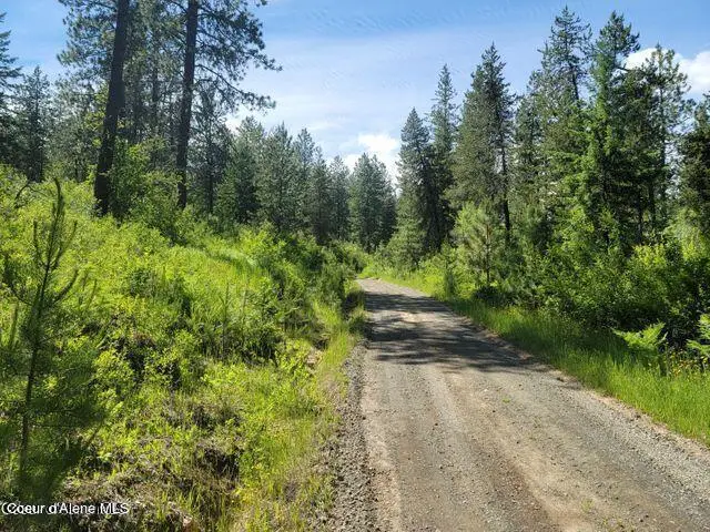 NNA W Reality Loop, Coeur Dalene, ID 83814 - Image #2