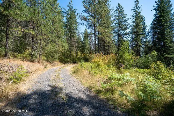 NNA W Reality Loop, Coeur Dalene, ID 83814 - Image #3