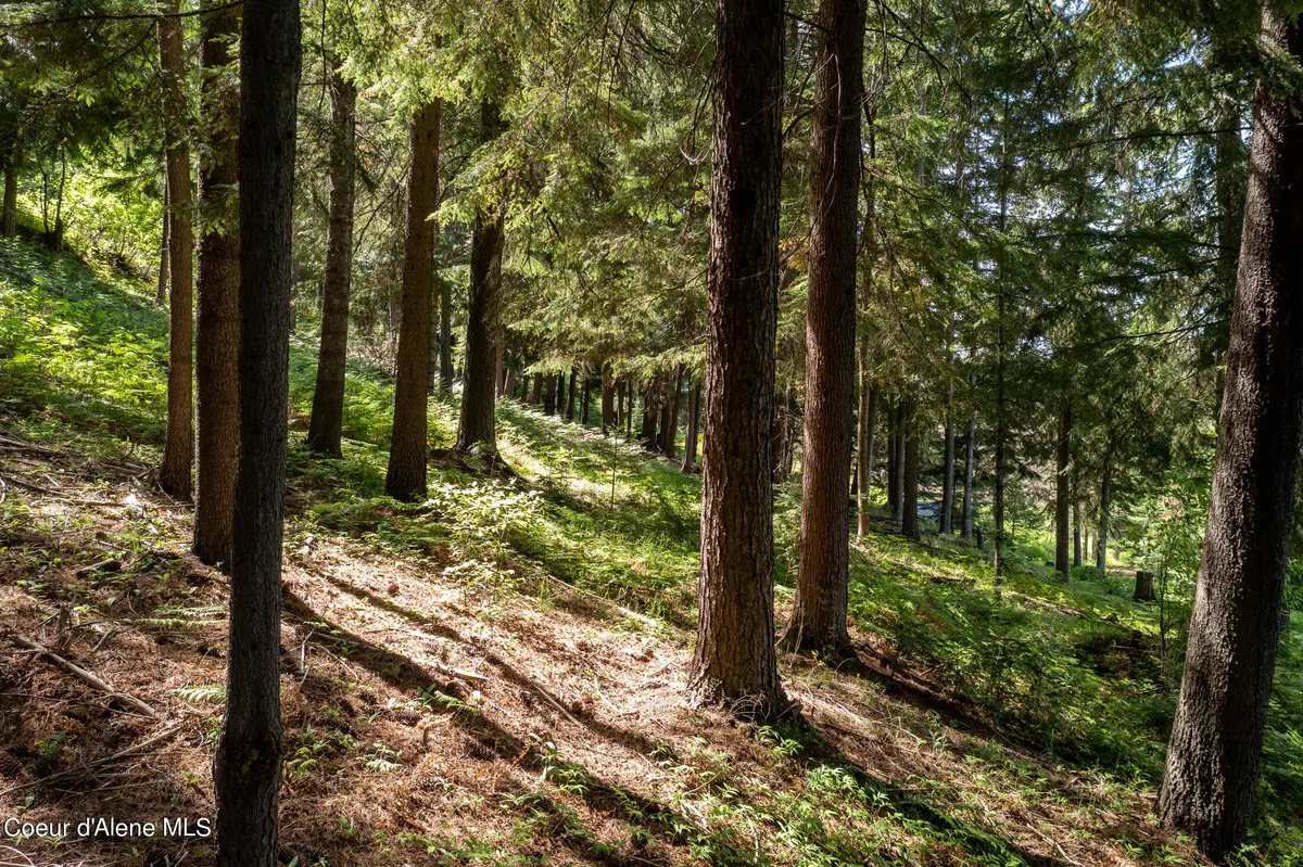 NKA Makridge Lane, Kingston, ID 83839 - #1