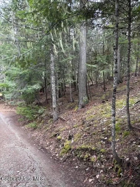 Lot 2 Sherwood Terrace, Coolin, ID 83821